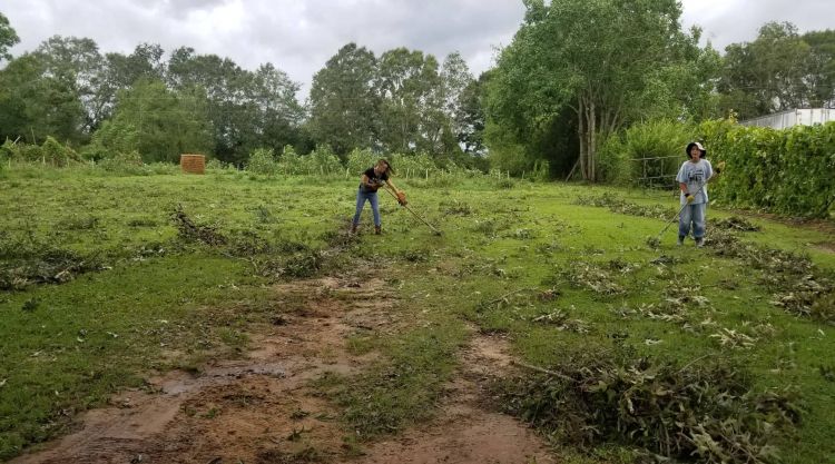 Clearing grounds New Talavana